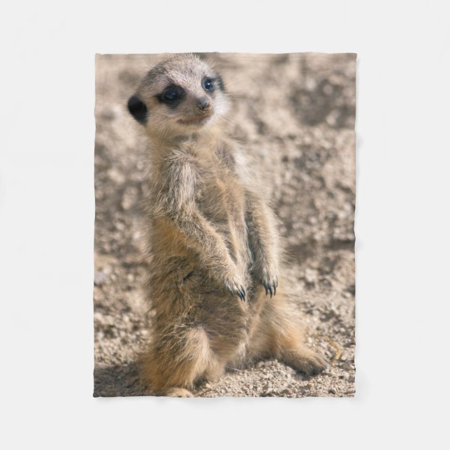 Polaire Couverture de la flotte de sentinelle (Devant)