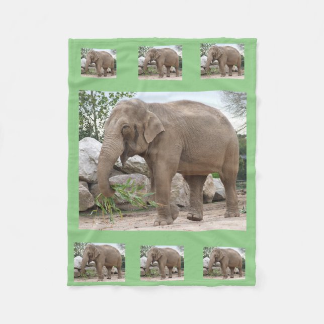 Polaire Couverture de la flotte d'éléphants (Devant)