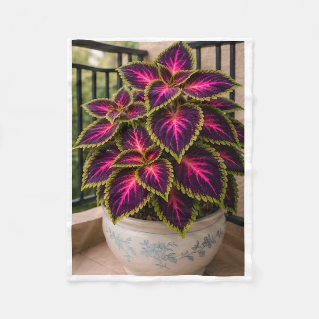 Polaire Couverture de plante de Coleus Violet ADOM (Devant)