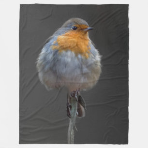 Polaire Couverture de Robin