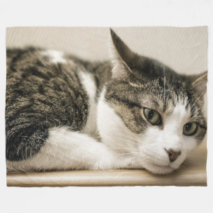 Polaire Couverture d'ouatine d'amoureux de les chats