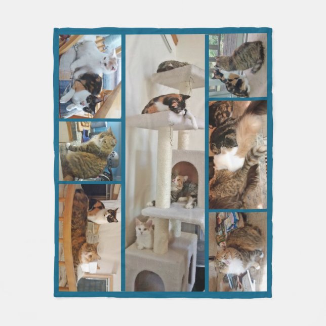 Polaire Couverture d'ouatine de chats (Devant)