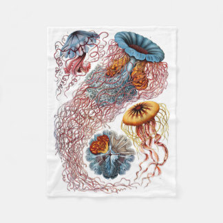 Polaire Couverture d'ouatine de méduses de Haeckel