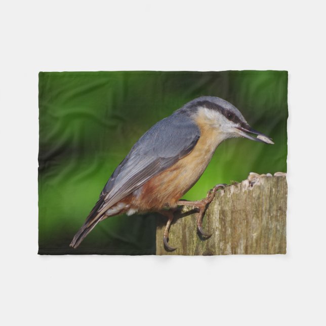 Polaire Couverture d'ouatine de sittelle (Devant (Horizontal))