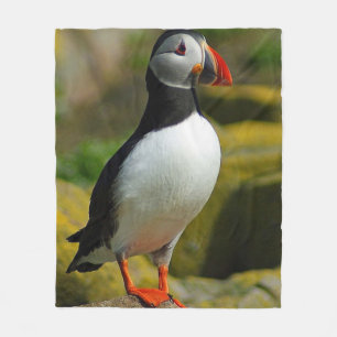 Polaire Couverture d'ouatine d'oiseau de macareux