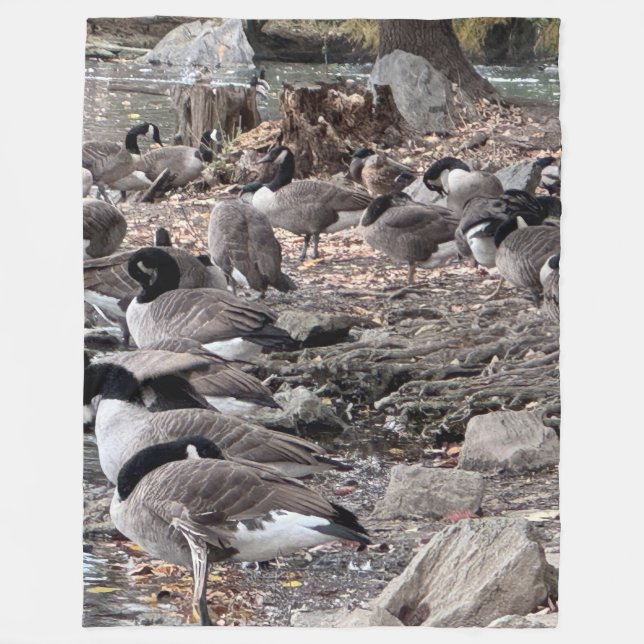 Polaire Couverture Douillette aux Oies dans le Parc (Devant)