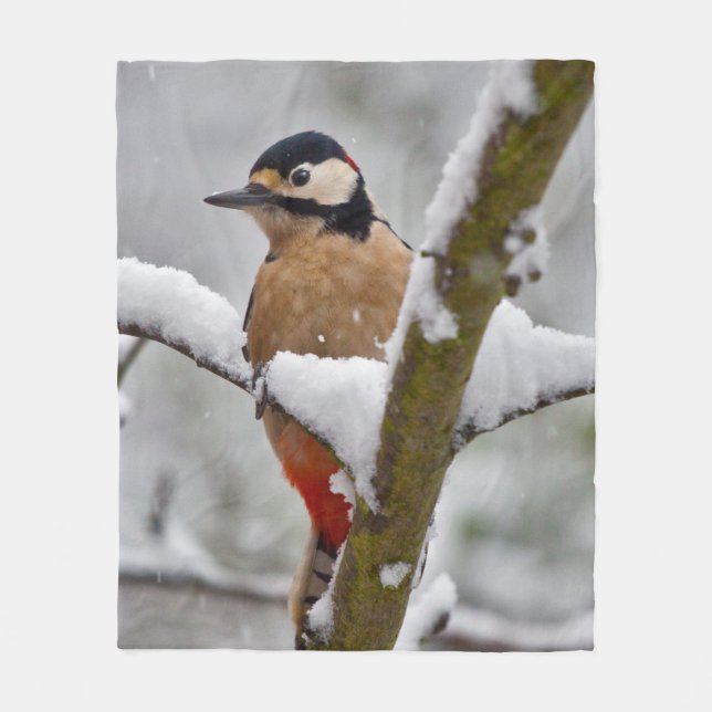 Polaire Couverture en molleton pic d'hiver (Devant)