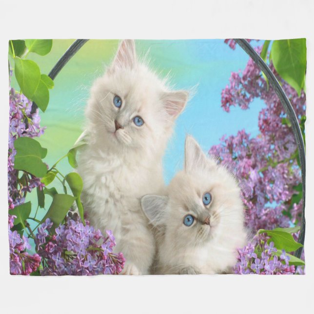 Polaire Couverture en polaire/chatons (Devant (Horizontal))