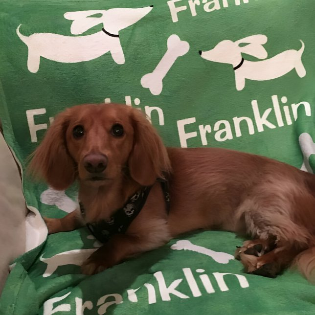 Polaire Couverture personnalisée Brown Dachshund Wiener Do (Dachshund blanket - personalized wiener dog gift )