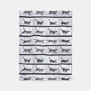 Polaire EADWEARD MUYBRIDGE : Chat marchant - couverture