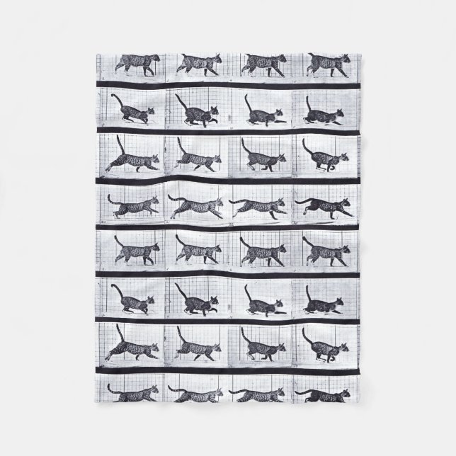 Polaire EADWEARD MUYBRIDGE : Chat marchant - couverture (Devant)