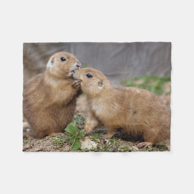 Polaire Embrassez-moi couverture rapide d'ouatine (Devant (Horizontal))