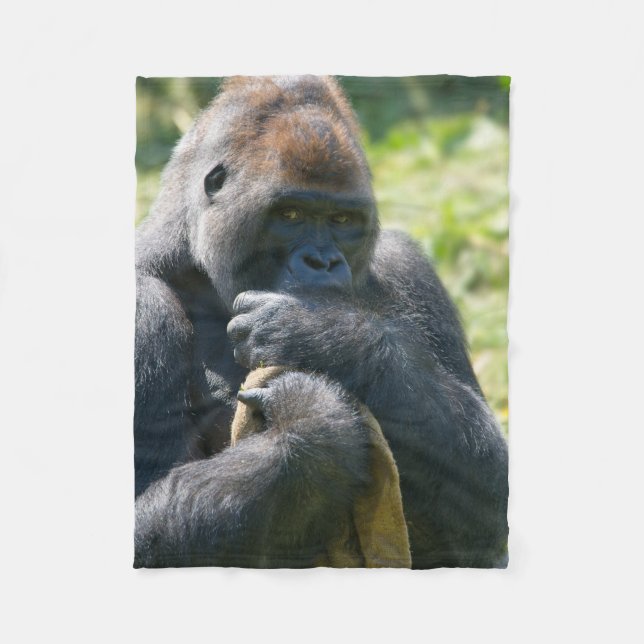 Polaire Gorille D'Argent Et Sa Couverture (Devant)