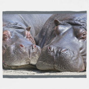 Polaire Hippopotame sur la grande couverture d'ouatine