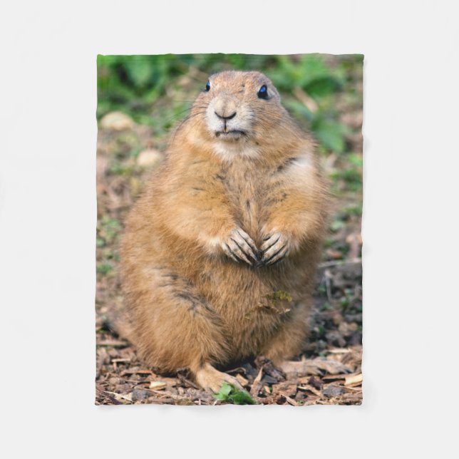 Polaire Je ne suis pas gros, je suis couverture câline (Devant)