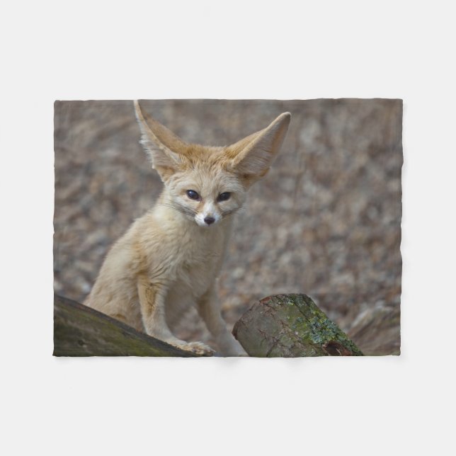 Polaire Je suis toute la couverture d'ouatine d'oreilles (Devant (Horizontal))