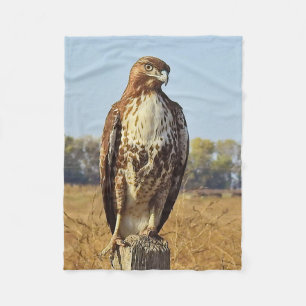 Polaire La faune, couverture d'ouatine, oiseaux, rouge a
