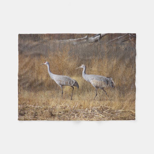 Polaire Les oiseaux Sandhill tend le cou la couverture (Devant (Horizontal))