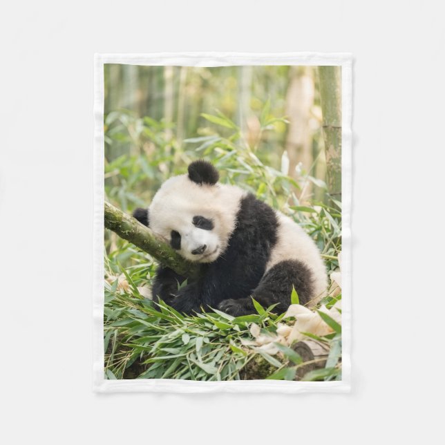 Polaire Panda Endormi dans une couverture de bambou (Devant)