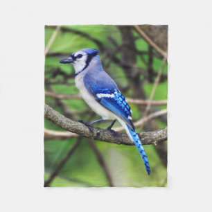 Polaire Petite couverture d'ouatine de geai bleu