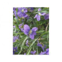 Petite couverture pluvieuse de violettes
