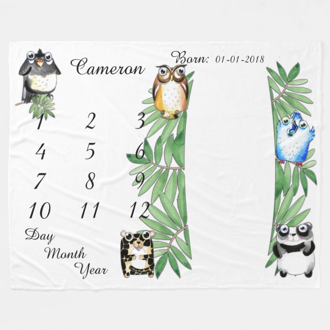 Polaire Taille 80 x 60 de couverture d'étape importante de (Devant (Horizontal))