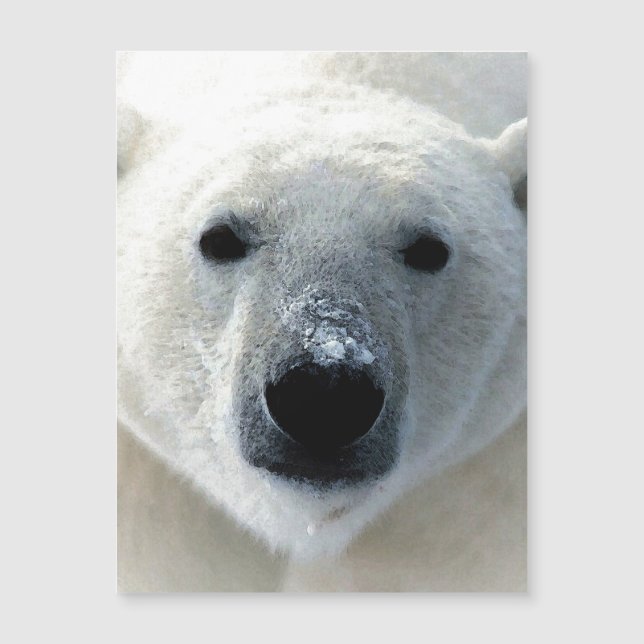 Polar Bear Magnetic Card (Devant)