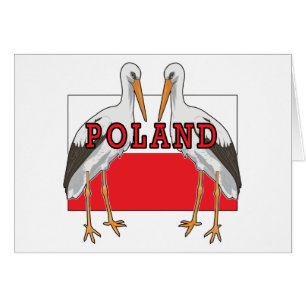 Polish white Stork