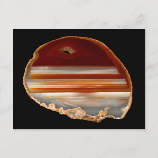 Polished Agate Slice Photo sur carte postale noire