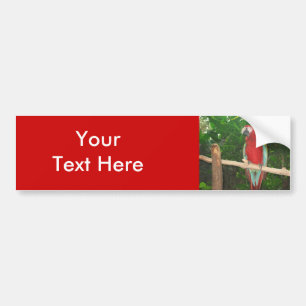 Polly Parrot Personalized Bumper Sticker