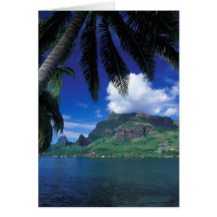 Polynésie française, Moorea. Baie de Cook. Vert