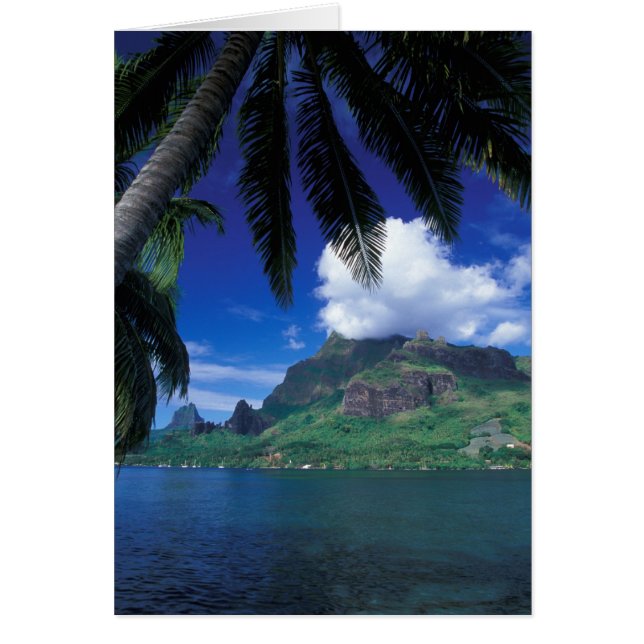 Polynésie française, Moorea. Baie de Cook. Vert (Devant)