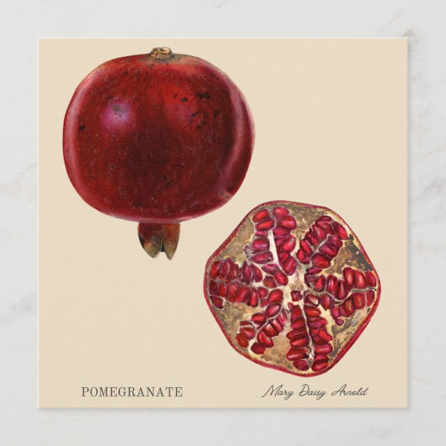 Pomegranate by Mary Daisy Arnold (Devant)