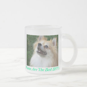 Pomeranian a givré la tasse