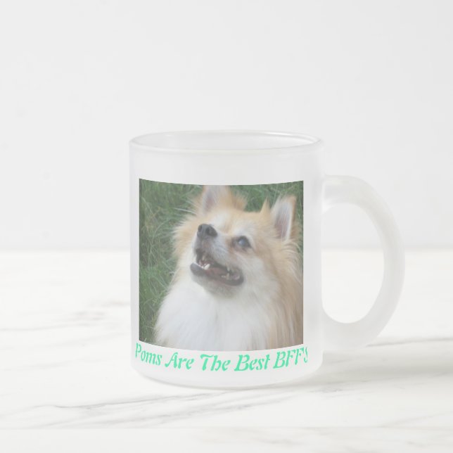 Pomeranian a givré la tasse (Droit)