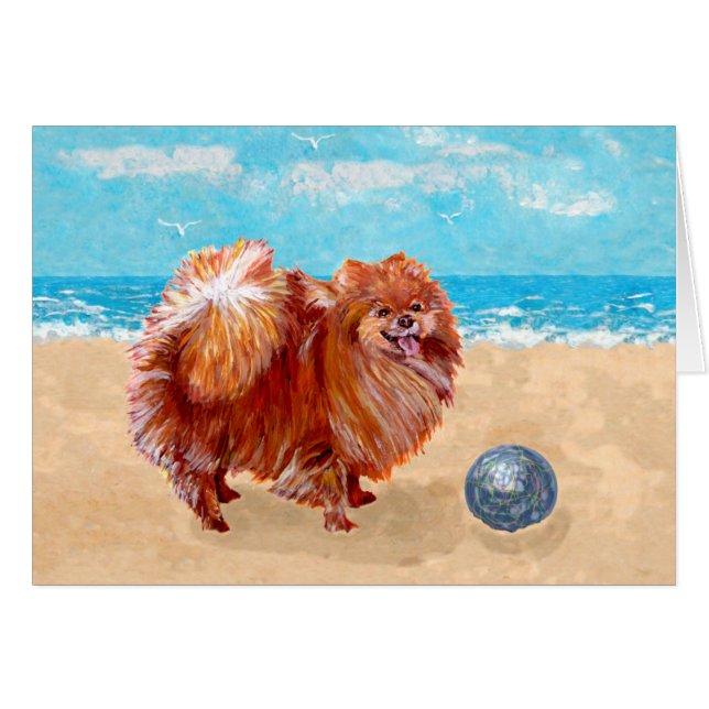 Pomeranian au bord de la mer (Devant horizontal)