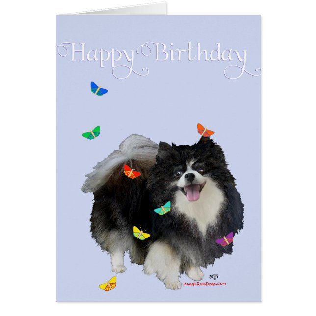 Pomeranian avec Papillons (Devant)