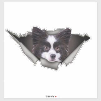 Pomeranian Chien autocollants Dogue Chien Pomerani