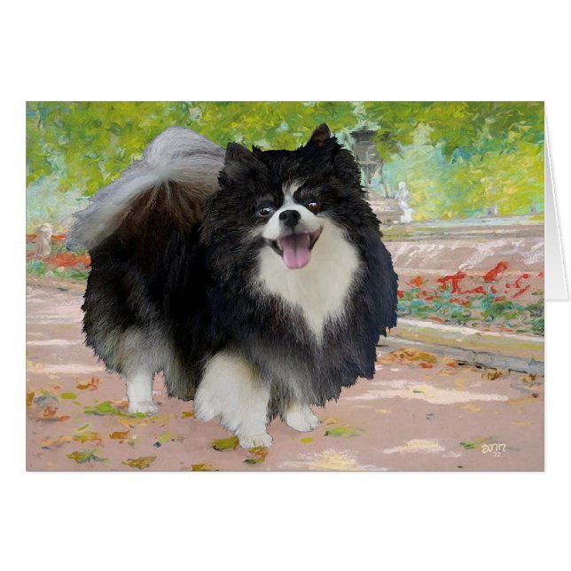 Pomeranian dans Promenade Ombragée (Devant horizontal)