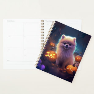 Pomeranian d'Halloween avec des citrouilles effray