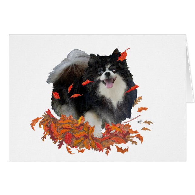 Pomeranian en Automne (Devant horizontal)