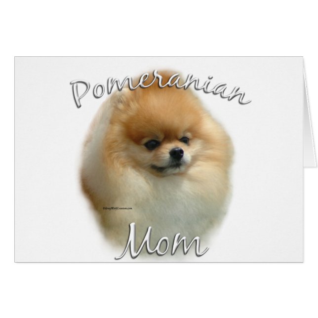 Pomeranian Maman 2 (Devant horizontal)