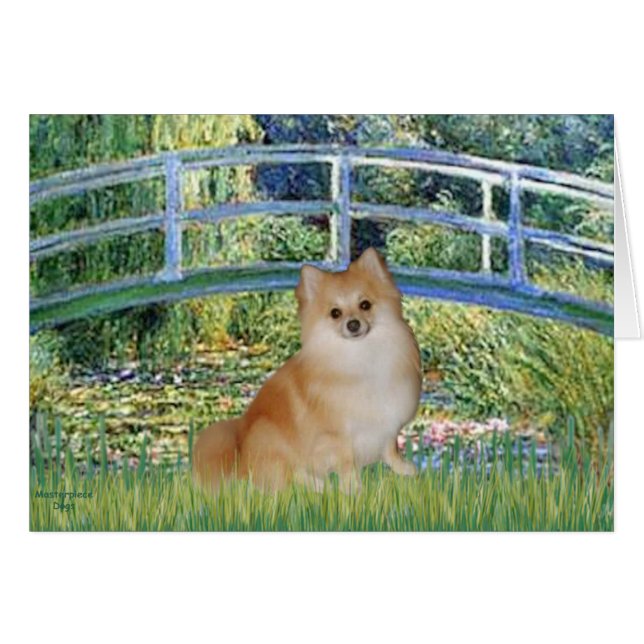 Poméranie 3 - Pont (Devant horizontal)