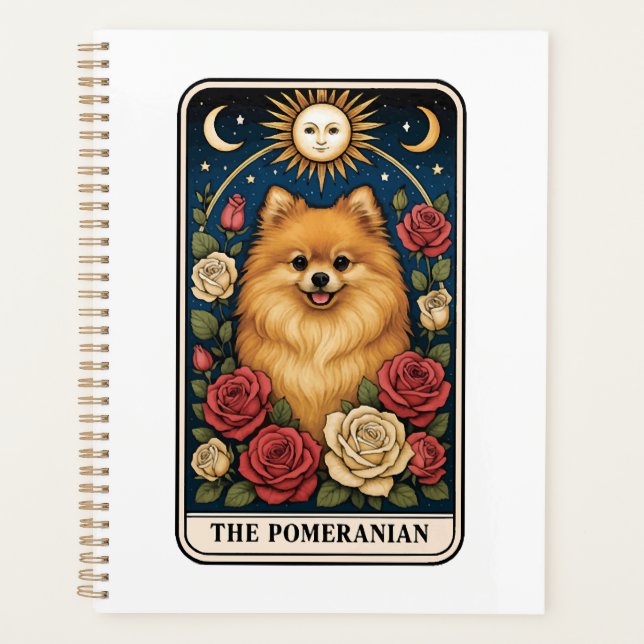 Poméranien (Devant)