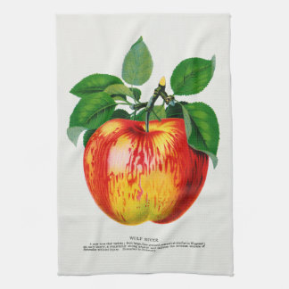 Pomme Vintage Illustration Serviette de cuisine