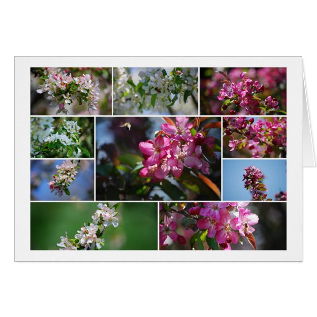 Pommes en fleurs et abeilles de miel (Devant horizontal)