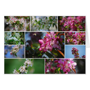 Pommes en fleurs et abeilles de miel