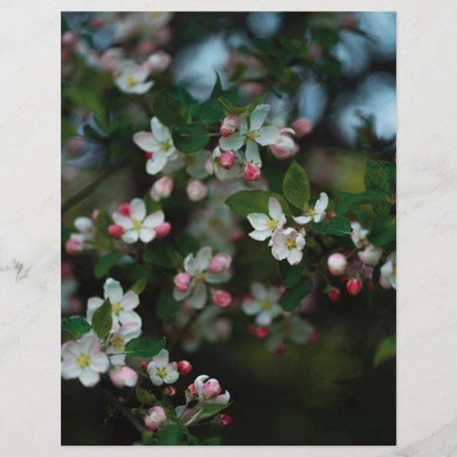 Pommier lunatique en fleurs Papier Scrapbook (clai (Devant)
