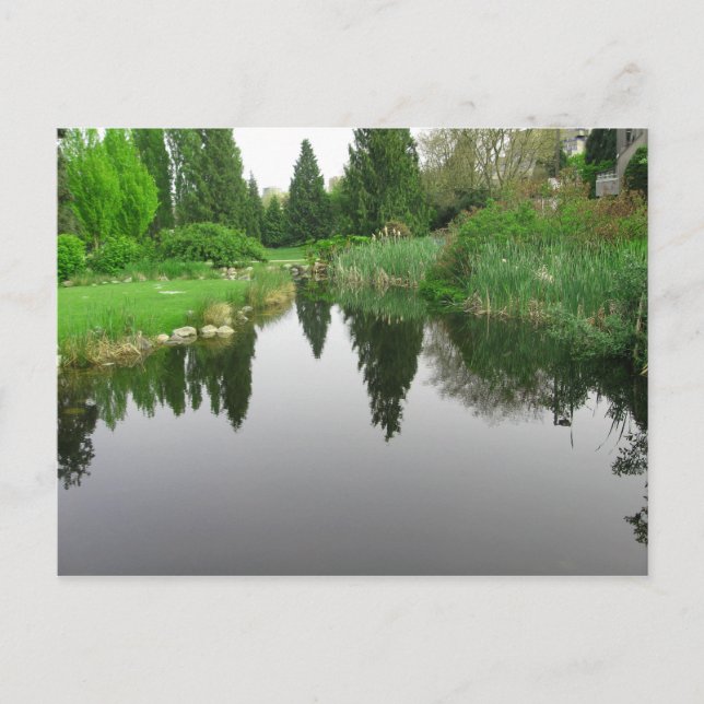 Pond à Vancouver, BC Carte postale (Devant)