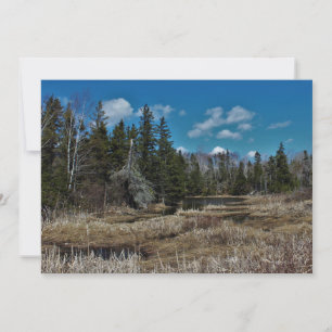 Pond de Red Island